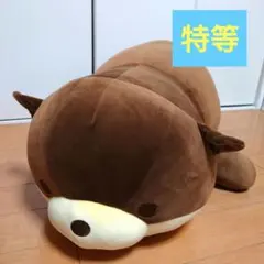 12/16まで値下げ中！　ポルカくじ　ハッピーマリン　特賞　特等　特大ぬいぐるみ 2026年最新】ハッピーマリン ぬいぐるみの人気アイテム - メルカリ