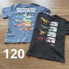 ブリーズ　福井県立恐竜博物館　アニア　半袖Tシャツ 120サイズ　保育園着のサムネイル
