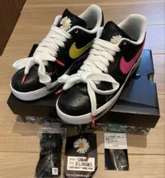 PEACEMINUSONE × Nike パラノイズ3.0
