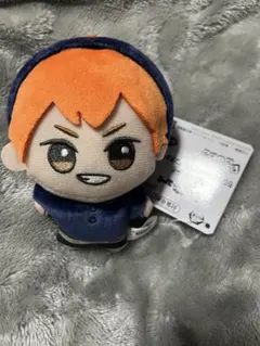 な*様 ハイキュー!! ちびぐるみ アニマルポンチョ vol.1 日向翔陽