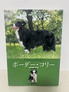 ボーダー・コリー 愛犬の友編集部 誠文堂新光社