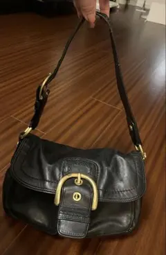 Item thumbnail for item f5d080f7-8013-4f4c-9b7a-32446c14bb33