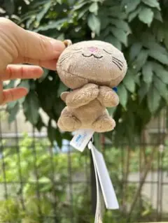 猫 ぬいぐるみ 約9cm