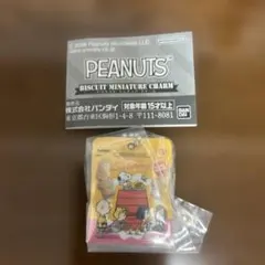 ピーナッツ ビスケットミニチュアチャーム スタンドパックメープル ガチャガチャ