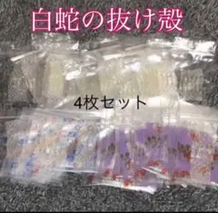 白蛇の抜け殻☆巳年生まれが育てるヘビのお守り☆開運☆金運☆運気上昇♦4