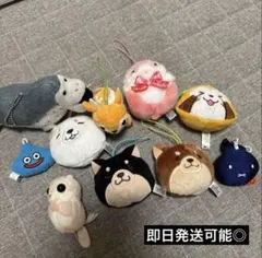 Item thumbnail for item da91dc2a-b437-4dff-be13-df1c42563fe6