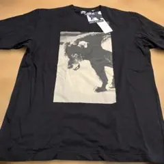 UT 森山大道　コラボ　tシャツ　三沢の犬　Mサイズ　新品のサムネイル