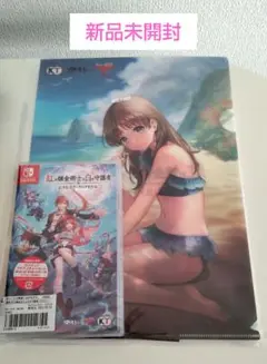 紅の錬金術士と白の守護者 Switch