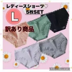 【コスパ最強】レディースショーツ L 5枚セット 下着 リボン パンツ 新品