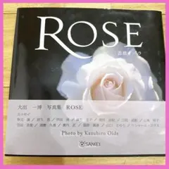 Item thumbnail for item d41da51e-5005-4ccc-8aa6-4bcca289ab21