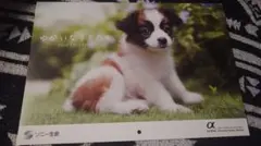 スバル様 リクエスト 4点 まとめ商品