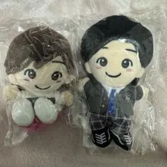 なにわ男子 道枝駿佑 ちびぬい