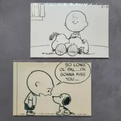 スヌーピー ミュージアム 原画ポストカード チャーリーブラウン PEANUTS