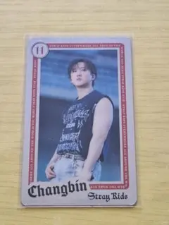 straykids チャンビン