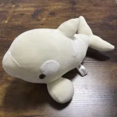 シャチくじ　特賞　ぬいぐるみ　名古屋港水族館　100cm 大人気のぬいぐるみくじが春休み期間限定で開催中です！ 期間➡4月6日
