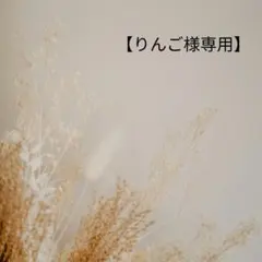 りんご様専用です(⁠*⁠˘⁠︶⁠˘⁠*⁠)⁠