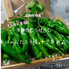 ❇️☘️『にゃんたろう様』ご専用です①♪❇️☘️♪