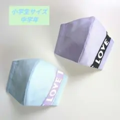 ハンドメイドマスク 2枚セット 小学生サイズ　中学年
