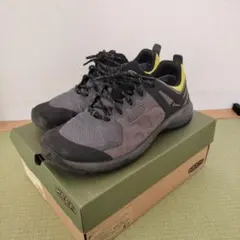 Item thumbnail for item 9b4dacb7-a1e5-4715-814b-ab829c7e71e4