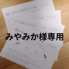 みやみか様専用