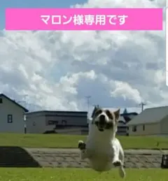 ♡マロン様専用です♡