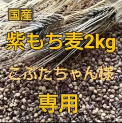 もち麦500g ⑥ 紫もち麦 ダイシモチ 美味しく食べやすく精麦済 5のサムネイル