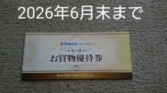 ヤマダ電機 株主優待 5000円分