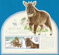 シャム猫様 リクエスト 2点 まとめ商品