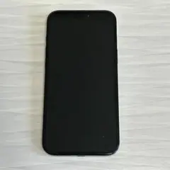 iPhone16 Pro Max 256GB