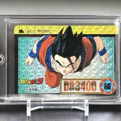 ドラゴンボールZ カードダス 本弾 217 孫悟飯 キラカード - メルカリ