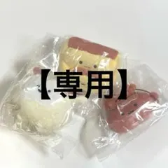 【専用】先程取り引きキャンセルしたため、こちらからお願いします( * . .)"