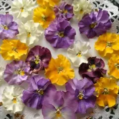 まもん様 リクエスト 3点 まとめ商品