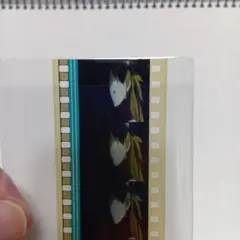 ヱヴァンゲリヲンQ フィルムコマ 式波アスカ - メルカリ