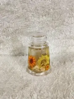 ハーバリウム　☆N☆A☆様専用５本セット　@19