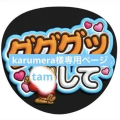 karumera様専用ページ