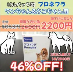 【46%OFF】ビルバック プロネフラ 60ml 犬猫用 腎臓サプリのサムネイル