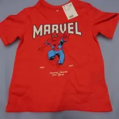 Item thumbnail for item 2a0353de-f3ad-4d57-97ee-eec4a0f93d11