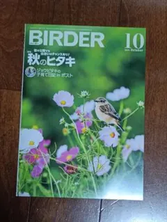 BIRDER最新号