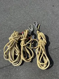 Item thumbnail for item 99efc775-d38f-49d0-9abe-773238eb8c37