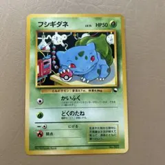 旧裏　ポケモンカード　フシギダネ