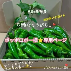 ポッポロポー様⭐️専用ページ♪のサムネイル
