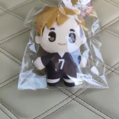 ハイキュー!! ぬいぐるみキーホルダー Vol.1