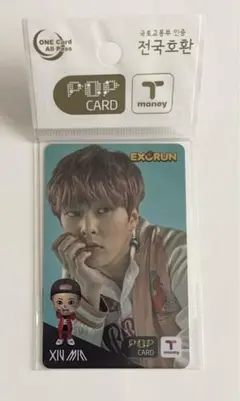 2026年最新】t-moneyカードの人気アイテム - メルカリ