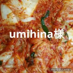 umihina様専用です。のサムネイル