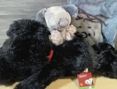 テ東棚　スヌーピーまとめ売り大きいブラックシルバーぬいぐるみブランケットひざ掛け