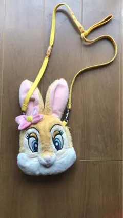 ディズニー　パスケース　チケットホルダー　ポシェット　お土産　カバン　ポーチ