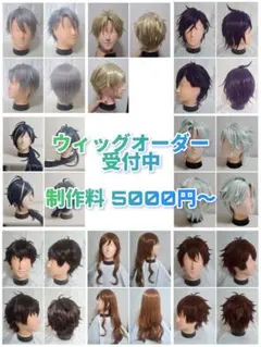 ‼️ウィッグオーダー受付中‼️ 現在即制作可能 コスプレ ウィッグ