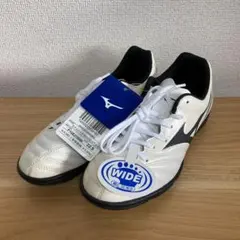 モナルシーダネオ3