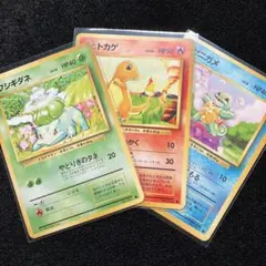 準美品　旧裏　ポケモンカード　フシギダネ　ヒトカゲ　ゼニガメ（良品）