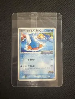 【未開封】 ポケパークのミズゴロウ 048/PCG-P